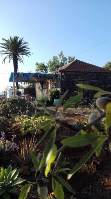 Casita En El Campo Con Vista Al Oceano Villa ติคาราเฟ ภายนอก รูปภาพ