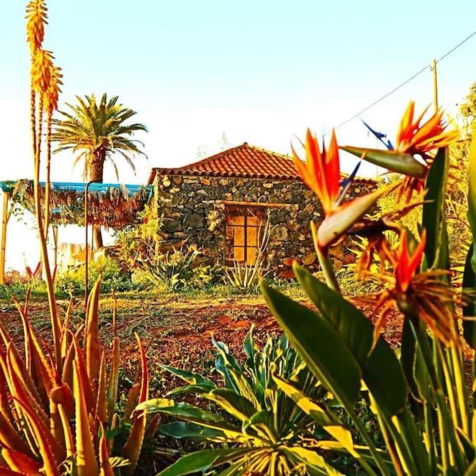 Casita En El Campo Con Vista Al Oceano Villa ติคาราเฟ ภายนอก รูปภาพ