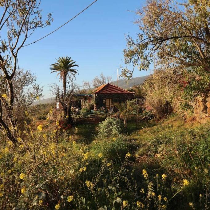 Casita En El Campo Con Vista Al Oceano Villa ติคาราเฟ ภายนอก รูปภาพ