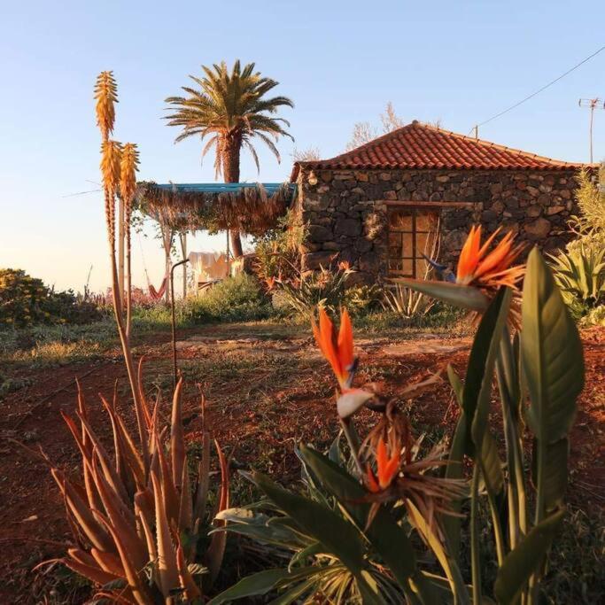 Casita En El Campo Con Vista Al Oceano Villa ติคาราเฟ ภายนอก รูปภาพ