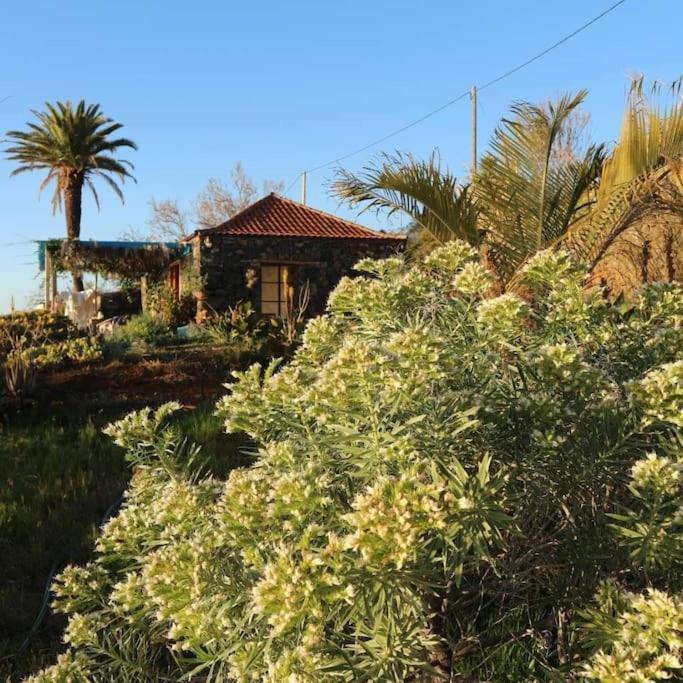 Casita En El Campo Con Vista Al Oceano Villa ติคาราเฟ ภายนอก รูปภาพ