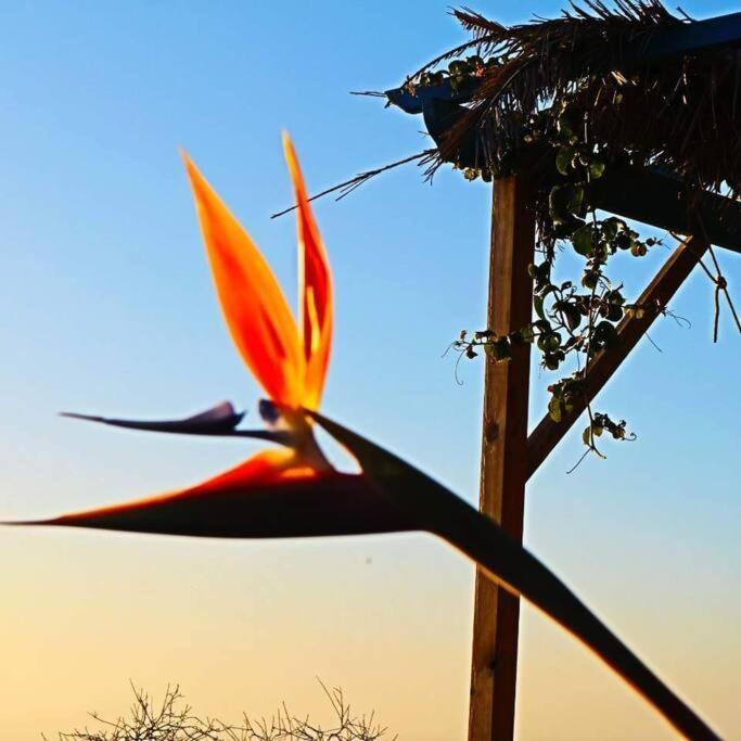 Casita En El Campo Con Vista Al Oceano Villa ติคาราเฟ ภายนอก รูปภาพ