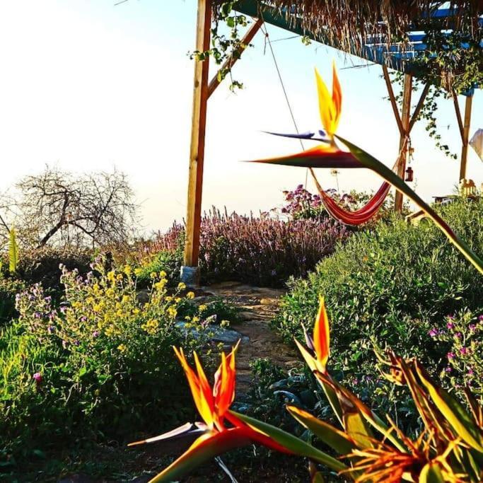 Casita En El Campo Con Vista Al Oceano Villa ติคาราเฟ ภายนอก รูปภาพ